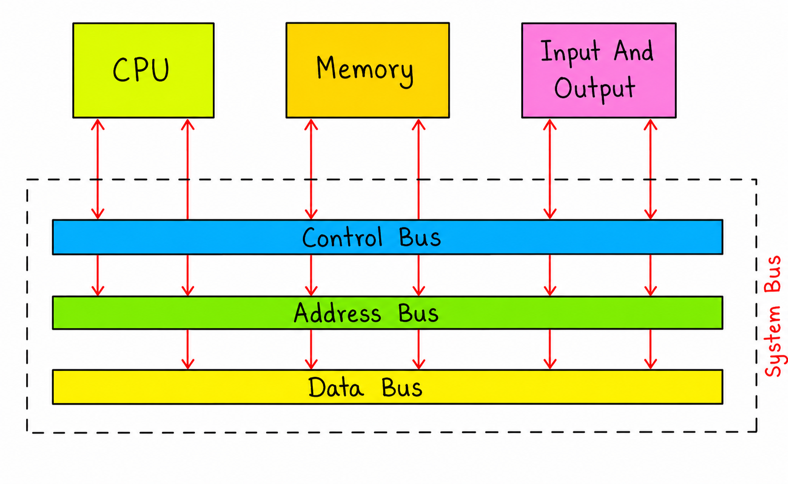 Buses in Computer Organization
