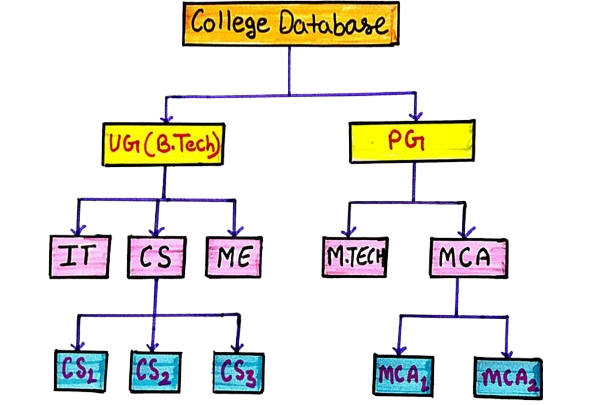 Hierarchical Data Model in DBMS
