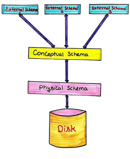 Schema Architecture of DBMS